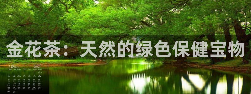 金年会体育金年会官网