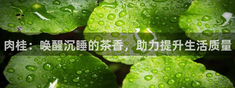 金年会平台游戏