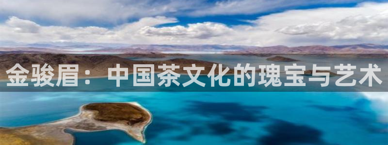 金年会首页登录