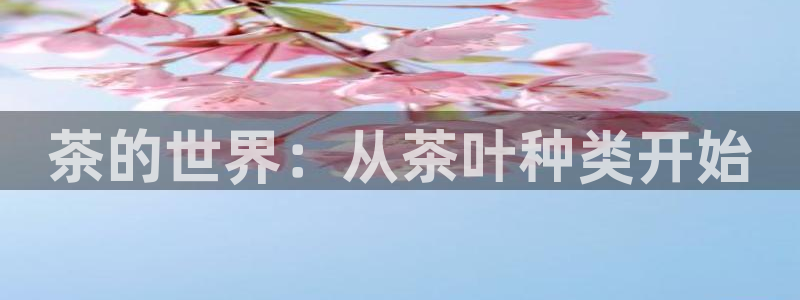 亚博金年会