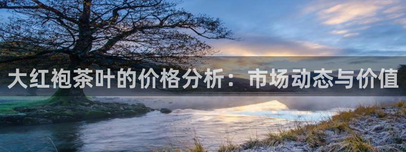 金进年会