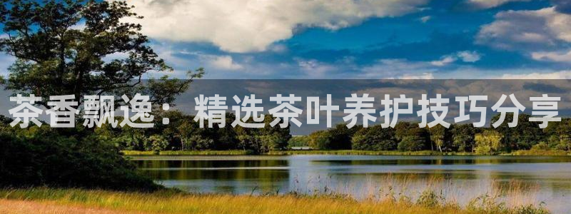 金年会入口网站