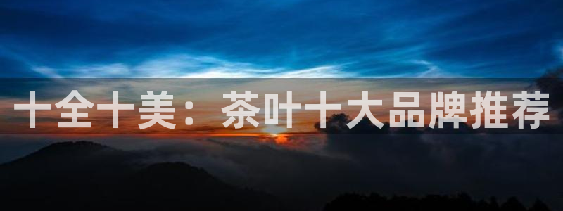 年会金句心得