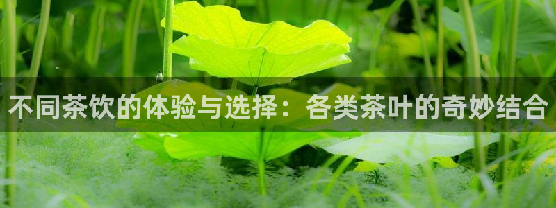 金年会网站