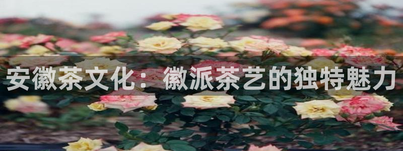 金年会最新下载