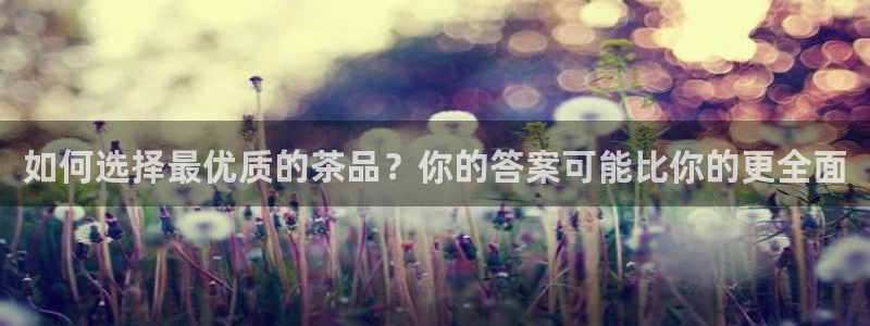 体育金年会