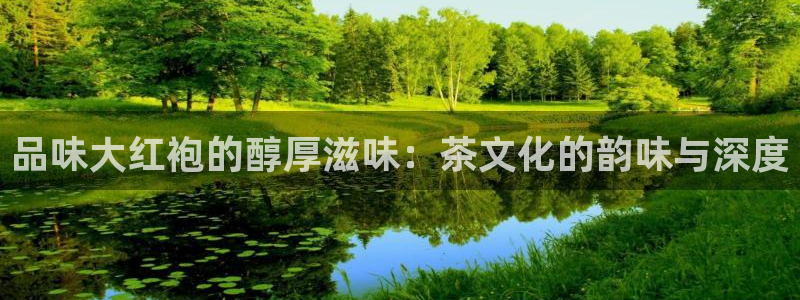 jinnianhui 金年会