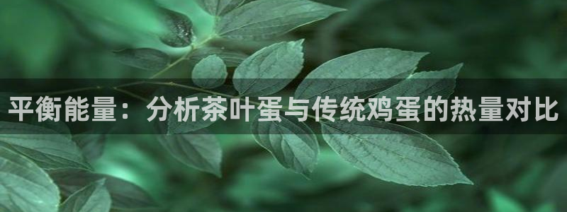 金年会平台包赔