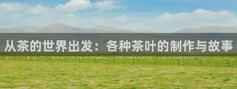 金齿科年会
