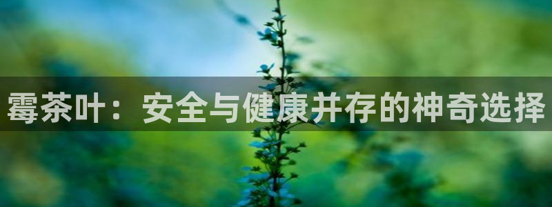 金年会娱乐官网