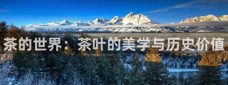 金年会现金网