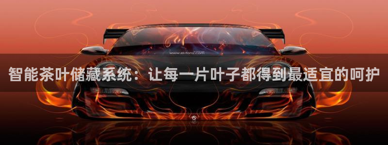 金立年会