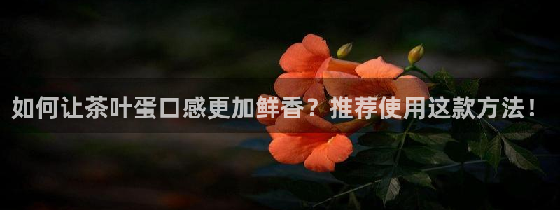 金吉年会
