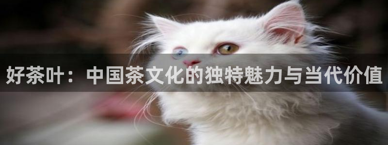 澳门娱乐金年会