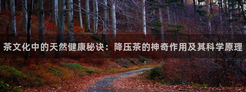 金升年会