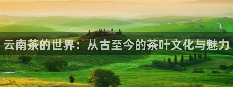 金年会电子游戏app