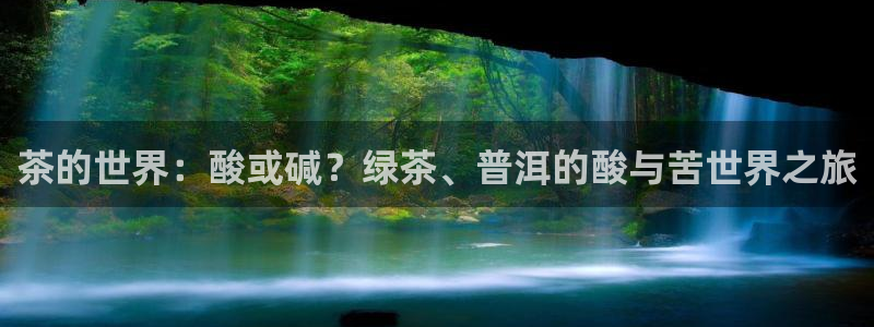 金诚集团年会