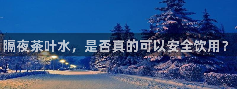 陆金所 年会