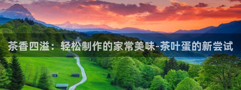 金金年会