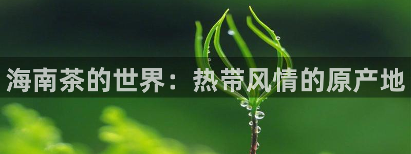 金年会101