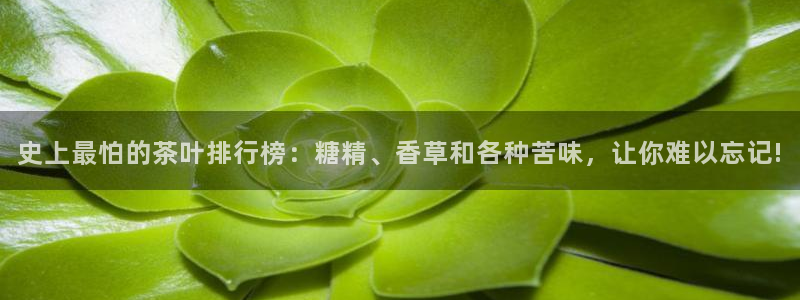 金年会这个平台