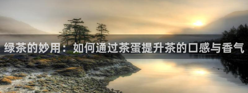 金年会娱乐下载
