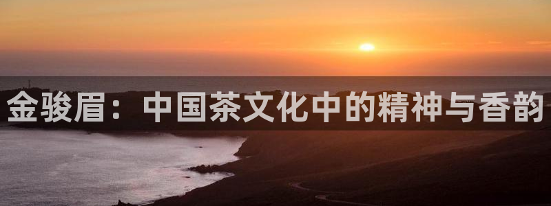 金年会体育在线入口