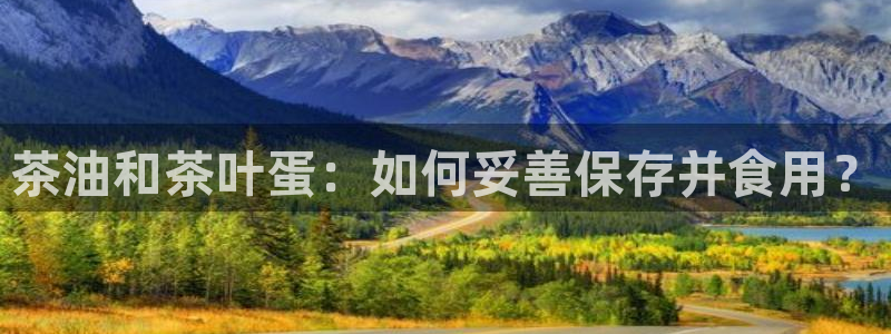 金年会会
