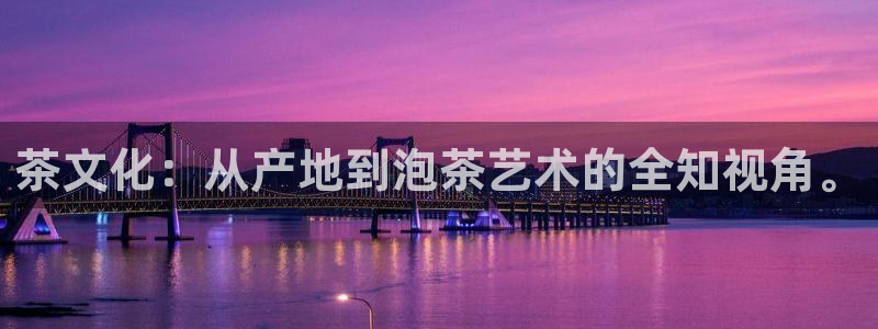 金年会是赌博的吗
