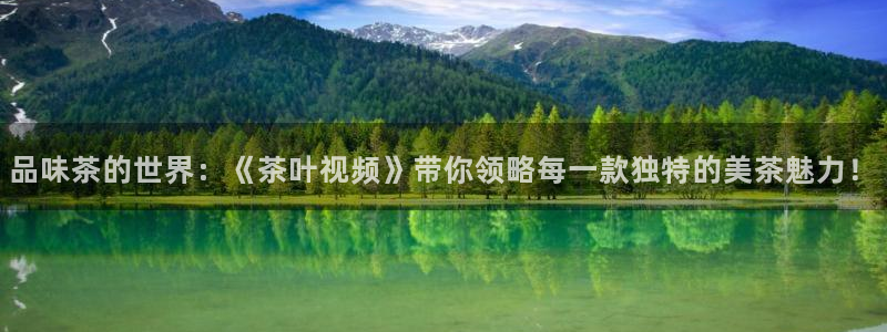 金年会赌博
