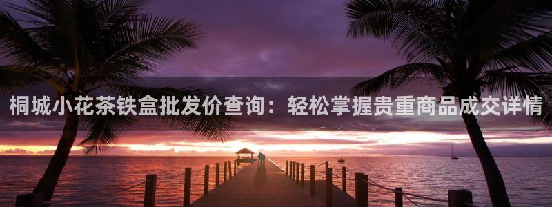 体育金年会