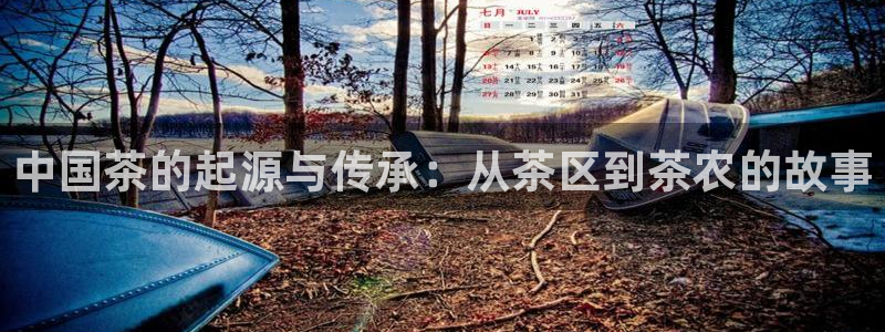 金年会平台游戏