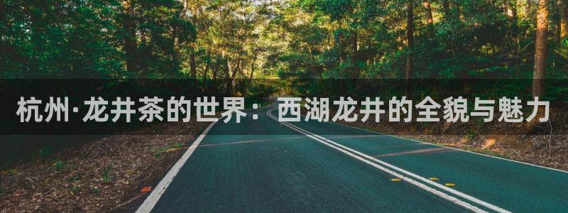 金年会下载