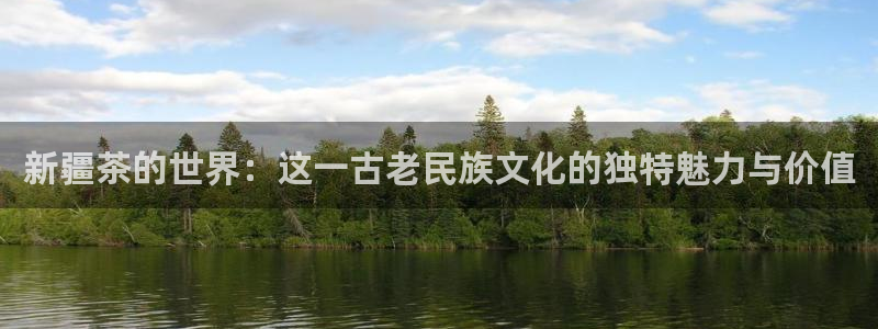 金年会信誉