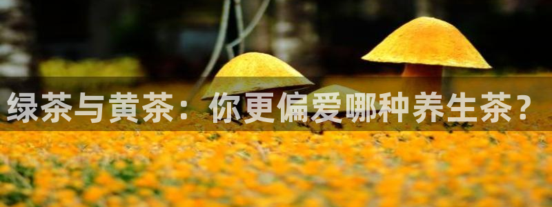 金年会体育平台