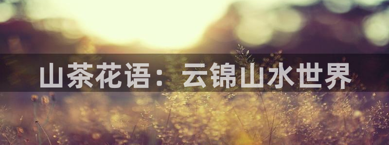 金年会网官网新版