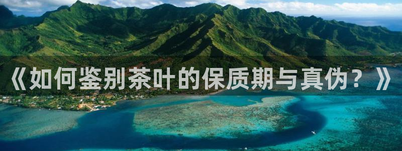 金齿科年会