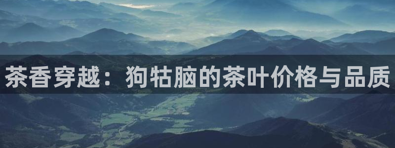 金年会金字招牌至上
