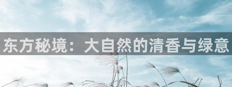 金年会全站