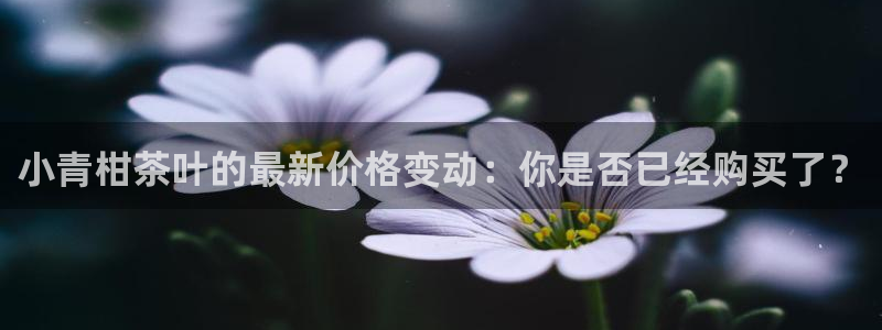金年会是赌博的吗