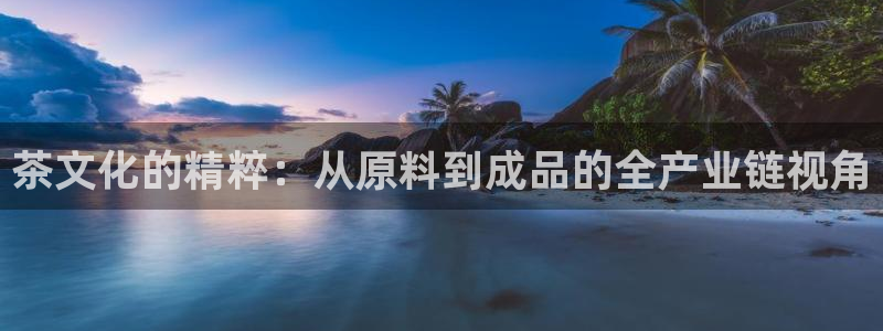金年会最新下载