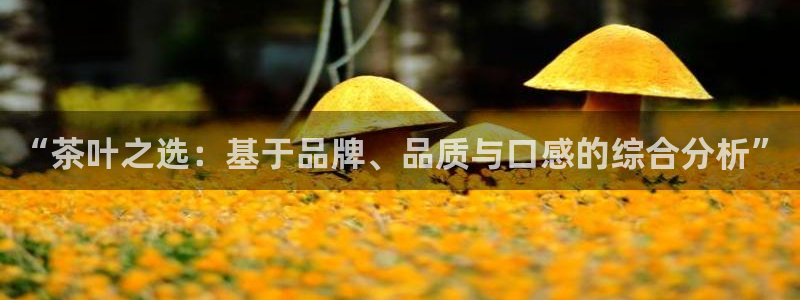 金年会平台是什么