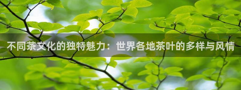 金年会金字招牌信誉