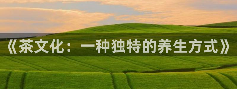 金年会全站