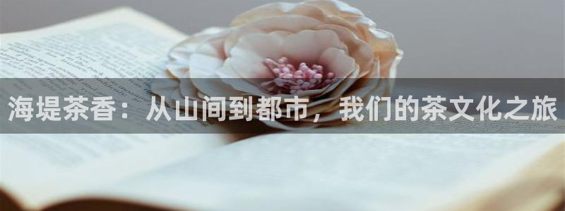 金年会原名