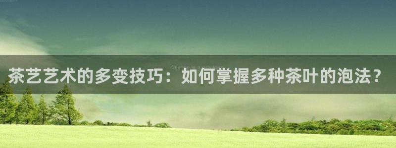 金年会网址