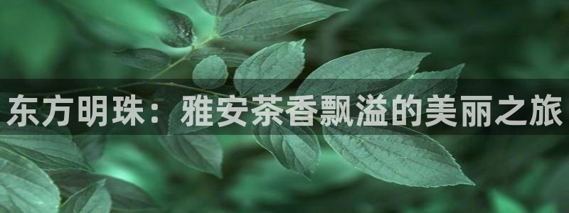 金年会 信誉至上