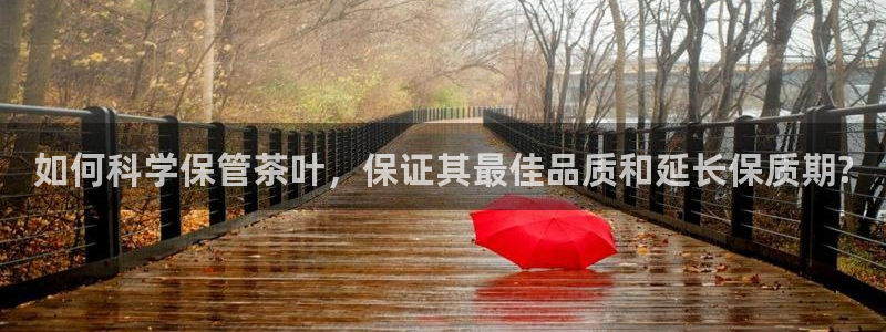 金年会吧