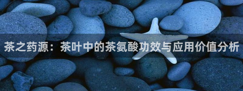 金哥年会