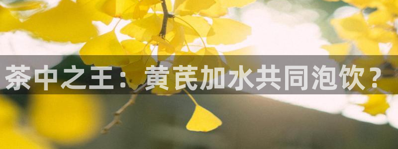 金年会菲律宾